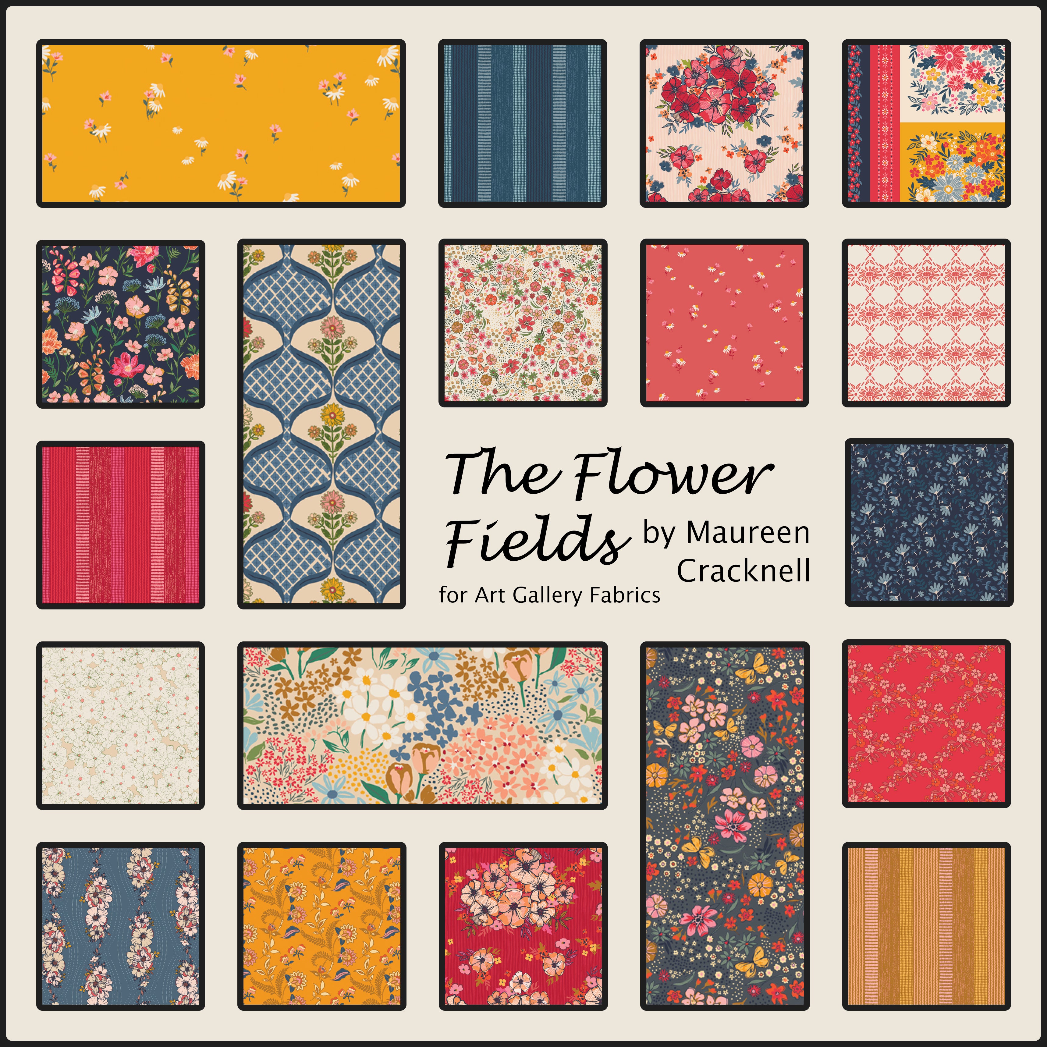 The Flower Fields by Maureen Cracknell - Coming Soon!