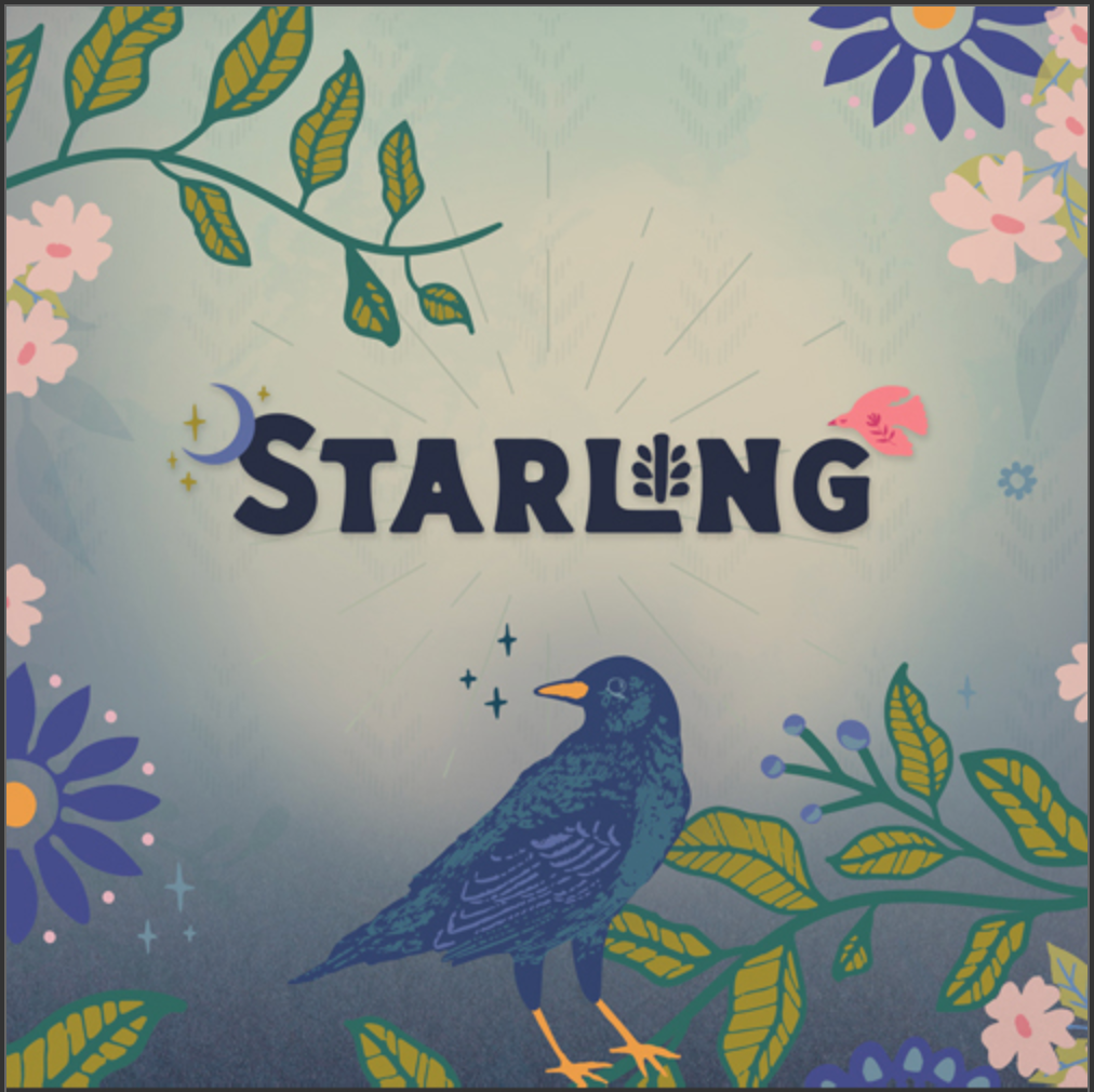 Starling by Maureen Cracknell