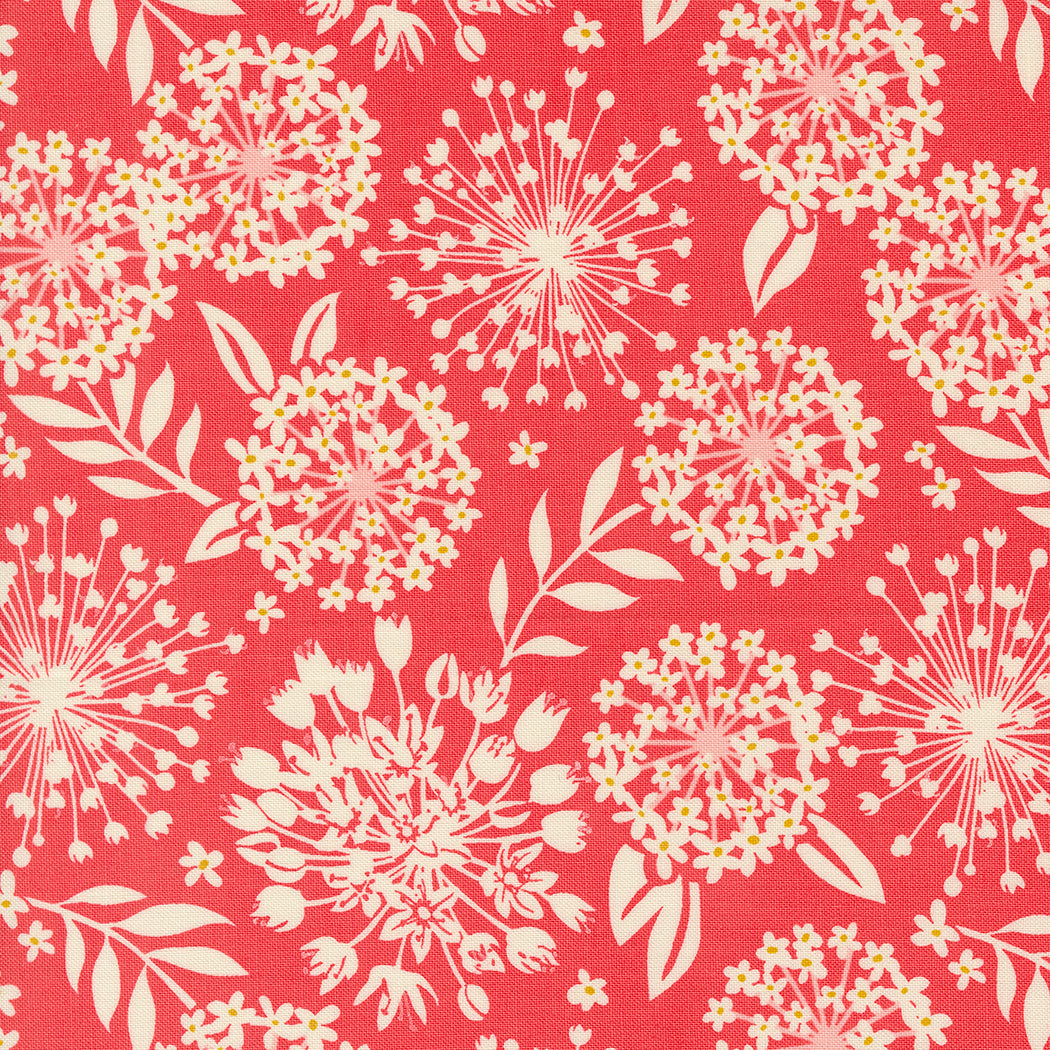 Tango: Simpatico in Tangerine Tango: Simpatico in Tangerine