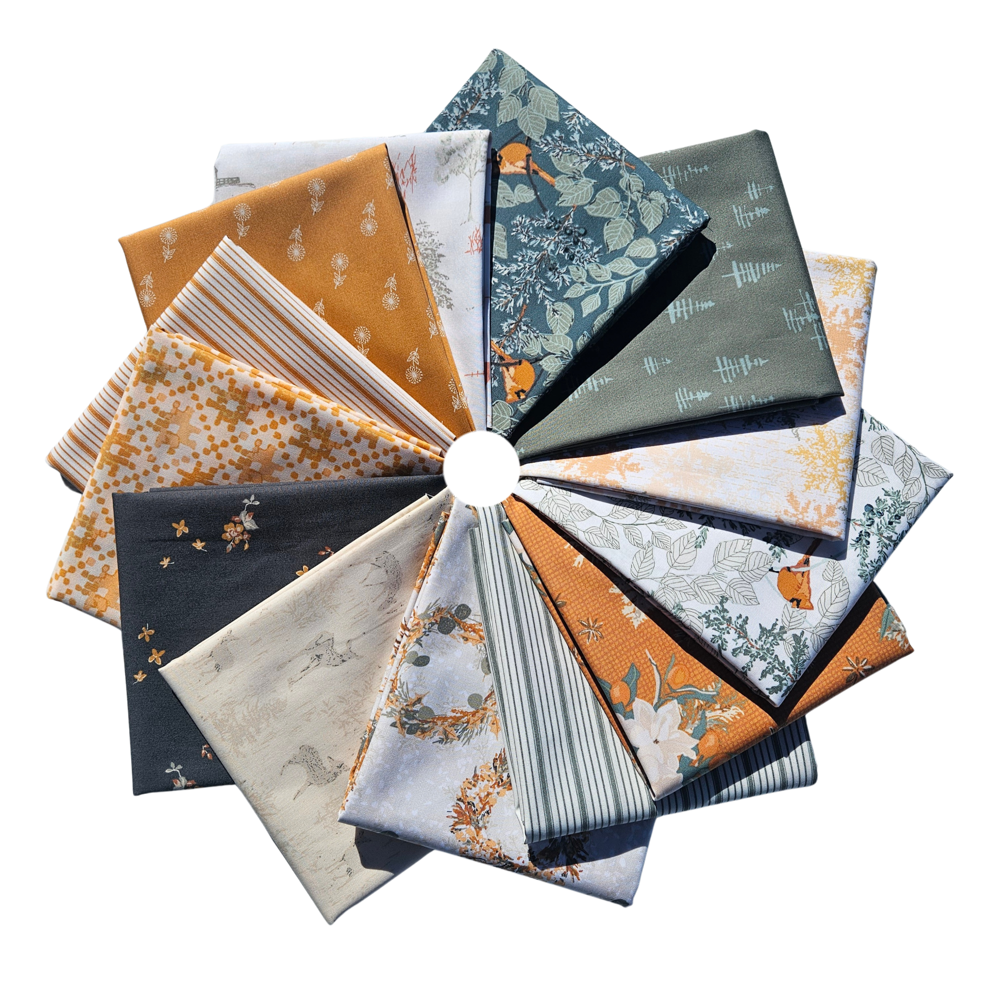 Collection of fabric swatches arranged in a circular pattern on a white background