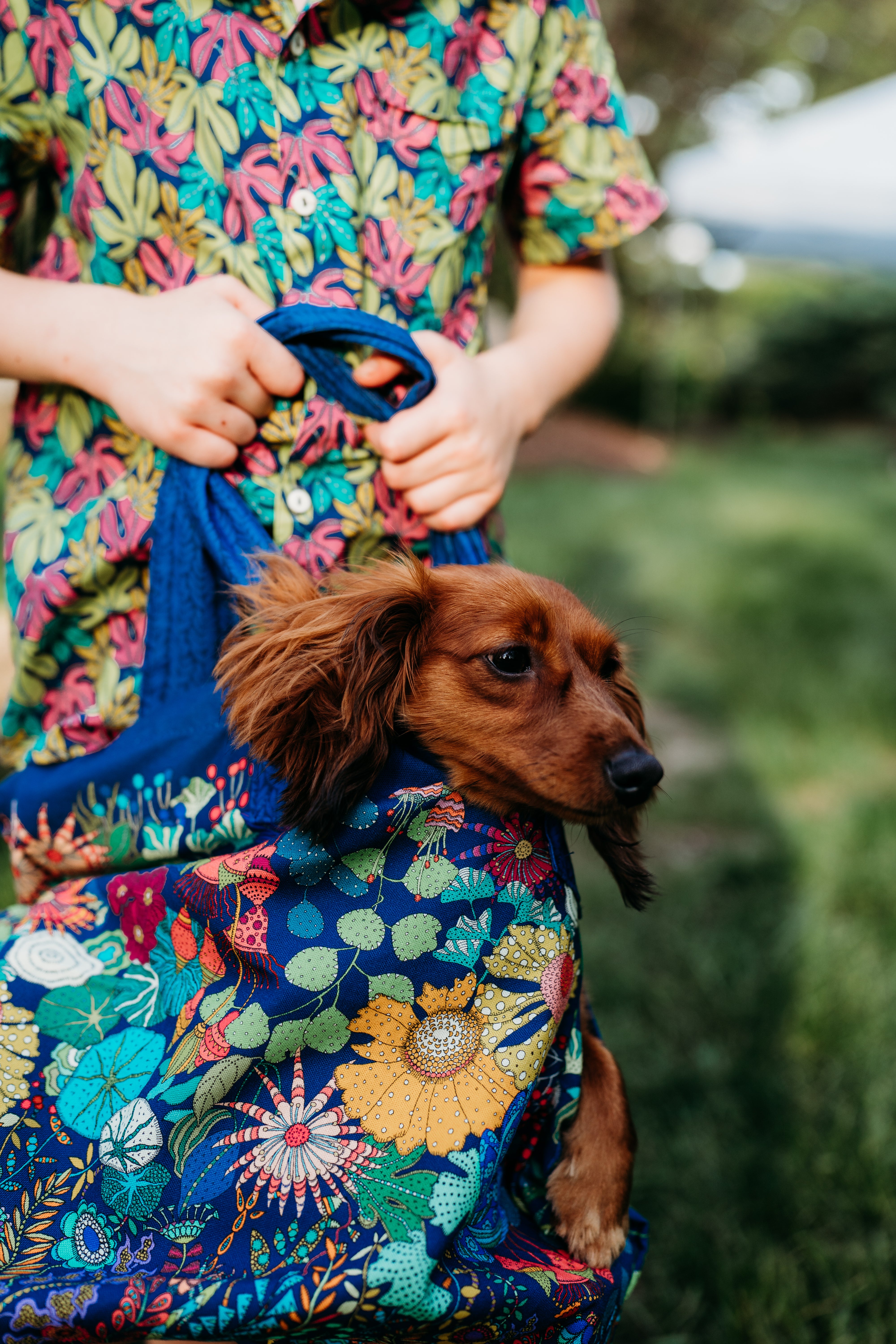 Person holding a dog in a floral-patterned bag outdoors