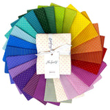 True Colors Tiny Coordinates 24pc Fat Quarter Bundle by Tula Pink