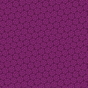 Arcadia Inflorescence Purple