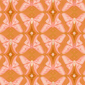 Camellia Regalia Caramel